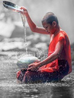 color-splash-1852649_1920